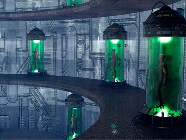 This is a model answer for a human cloning essay