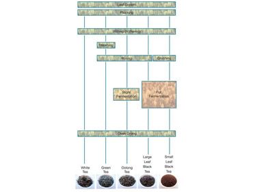 Graphs and tables sample 12